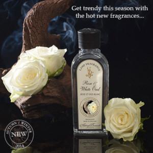 New Ashleigh & Burwood Fragrance Lamp Oils for AW14/15 - CleanTheAir.co.uk